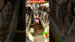 Only in USA Funny Moments 2026 🤣....#bablucoco #funny #funnyclips #shorts #short