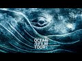 International ocean film tour volume 9  official trailer