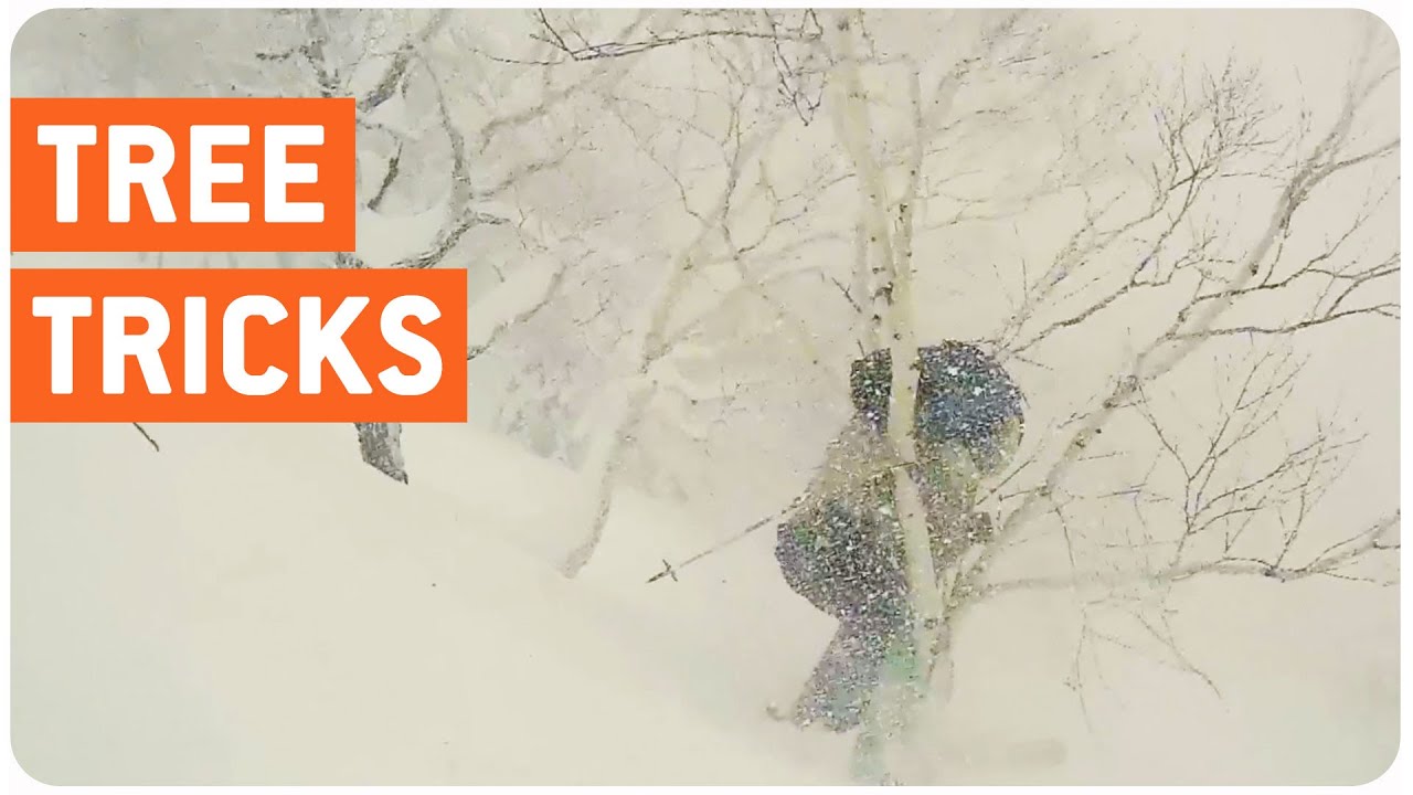 crashes on air Skier Crashes Into Tree | Treehugger
