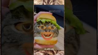 cat ger ?viral youtubeshorts catlover shortvideo