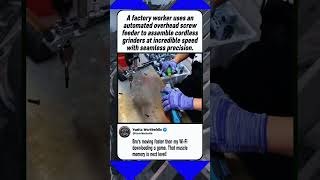 The Speed of This Factory Worker is Insane! ⚡️🤯