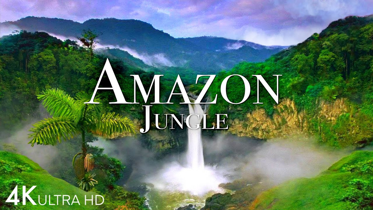 Jungle 4K - The World's Largest Tropical Rainforest