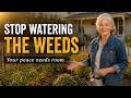 🌻 Do Not Water What Is Trying to Choke You | Mabel Hart Farmhouse Wisdom