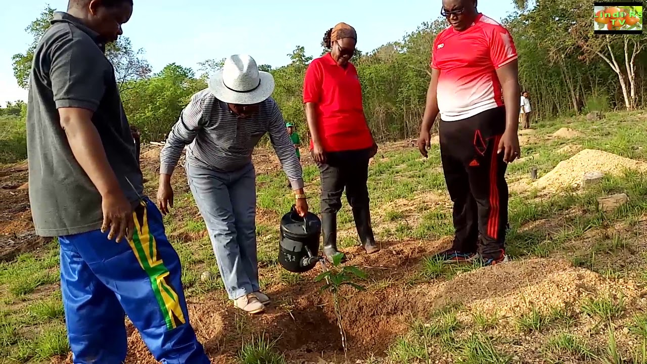 Watumishi wa Ofisi ya Mkuu wa Mkoa wa Lindi wapanda miti ya matunda.