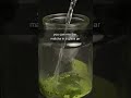 How To Make Matcha Without A Whisk Shorts How To Make Matcha Without A Whisk Shorts