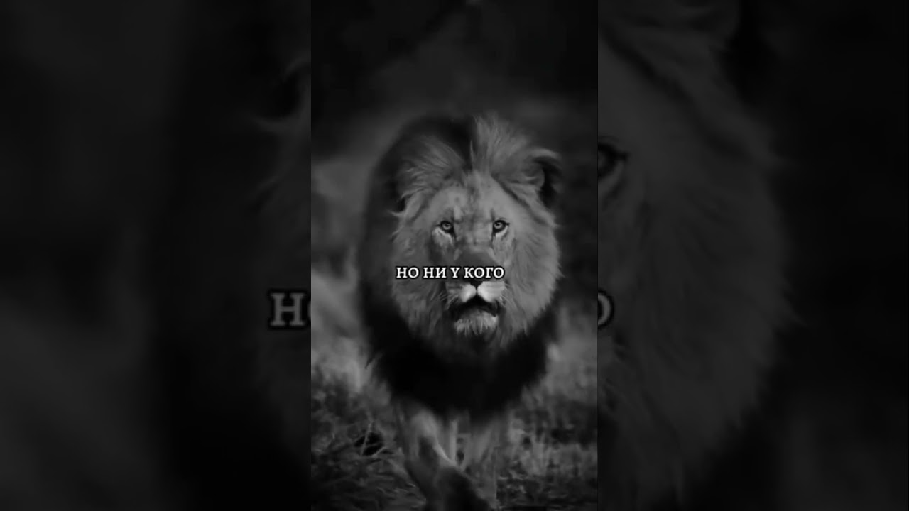 #рекомендации