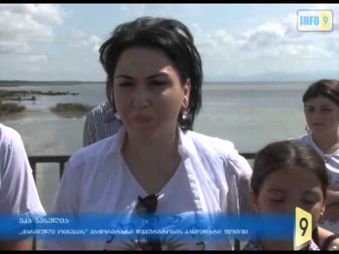 ეკოლოგიური  კატასტროფა