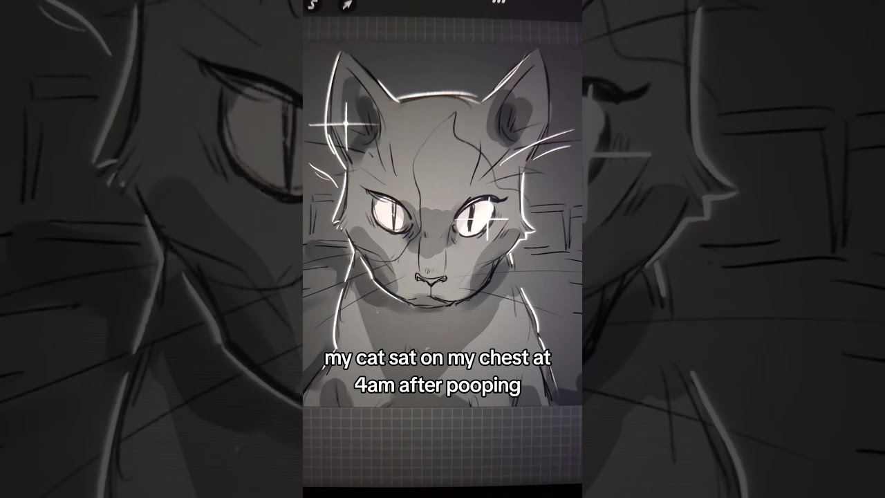 Shes So Silly Art Artblock Drawing Digitalart Cat