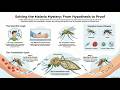 ملیریا کا معمہ ( Malaria :Experiment on Human Being|English|chapter 2| Biology| 9th class