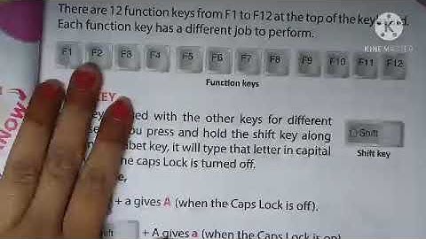 Chapter 4 The Keyboard and the Mouse part 2 Class II NCERT computer