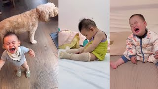 Funny Moments cute baby crying with smart dog try comforting_Funny activities cute baby compilation