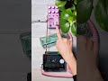 Turning a bottle and tape loop into ambient　#shorts