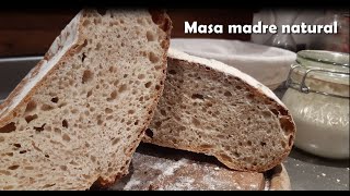 Cómo hacer pan sin levadura con Thermomix® (I) - Masa madre o fermento natural #sourdough