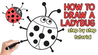 ladybug drawing draw drawings tutorial beginners paintingvalley