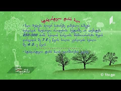 #უკეთრომაკეთო ბაღის ტიპები მეხილეობაში და მათი მახასიათებლები