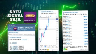 Signal forex GRATIS 99% PROFIT