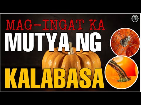 MUTYA NG KALABASA | MGA DAPAT MONG MALAMAN SA MUTYA NG KALABASA |Bhes tv