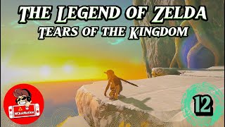 Tears of the Kingdom  Shrine Hunting and Penn Questing  Part 12