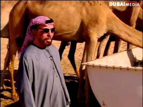 الجزء الثاني من سرد الذاكرة عبيد بن كنيش الهاملي