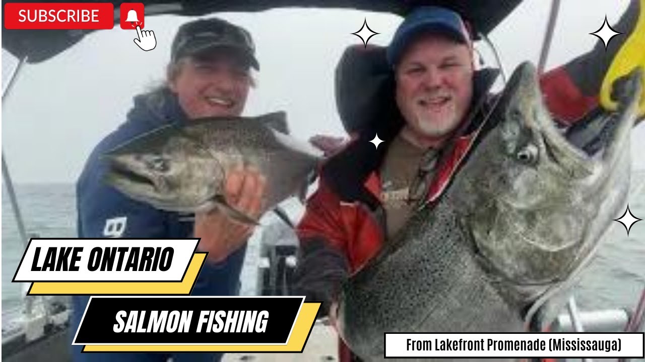 Lake Ontario Salmon Fishing YouTube