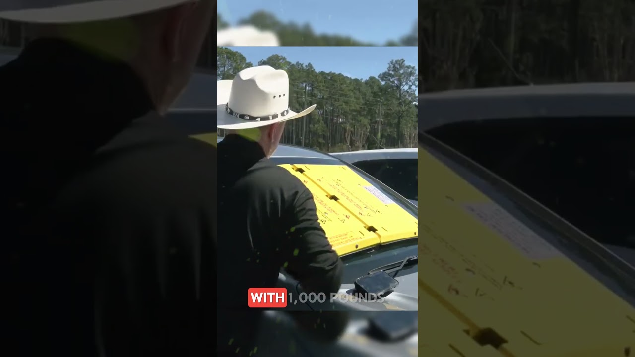 Barnacle Prevents Illegal Parking