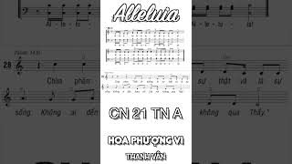 Alleluia - Chúa Nhật 21 Thường Niên Năm A - THTM | Hoa Phượng Vi | Thanh Vân #dapca #thanhca