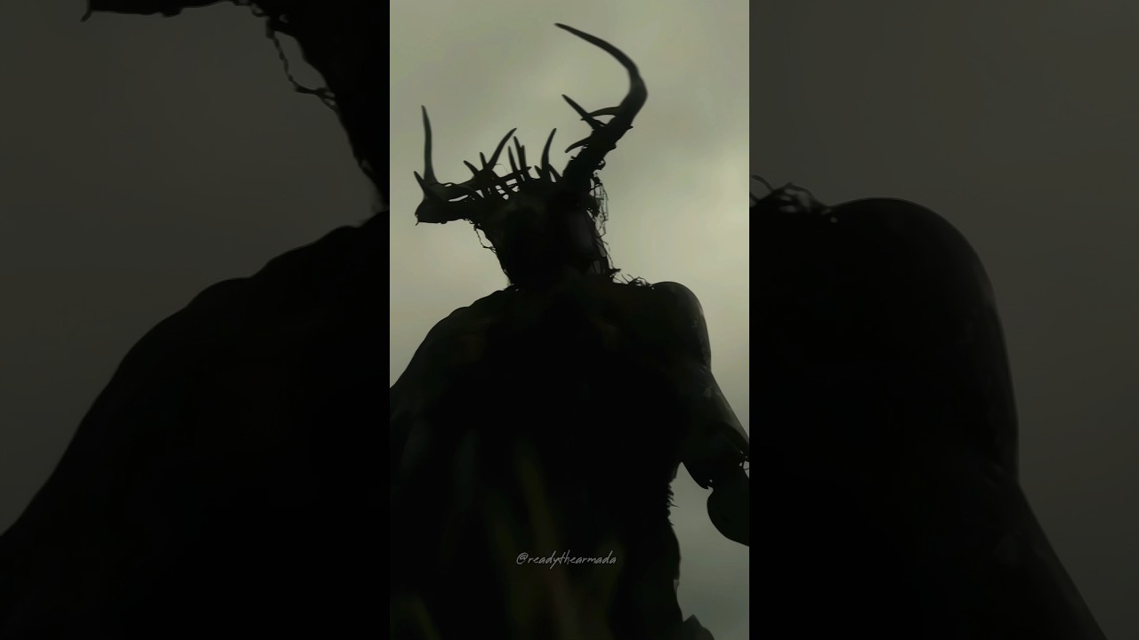 The Whole Aesthetic 🤌