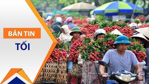 Tràn lan vải Lục Ngạn “dởm” | VTC1