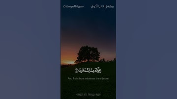 إن المتقين في ظلال وعيون وفواكه مما يشتهون - #بیشەوا_قادر_الكردي - #سورة_المرسلات #حالة_واتس