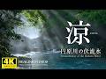 【癒し】涼／円原川の伏流水／光芒きらめく伏流水に心ほどける静かな時間...少しでも涼しさを感じて頂けると嬉しいです。「4K風景映像・実写」