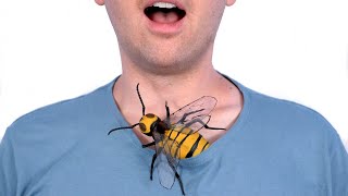 SURPRISE HORNET CRAWLS IN SHIRT!