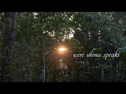 luna del puente: where silence speaks