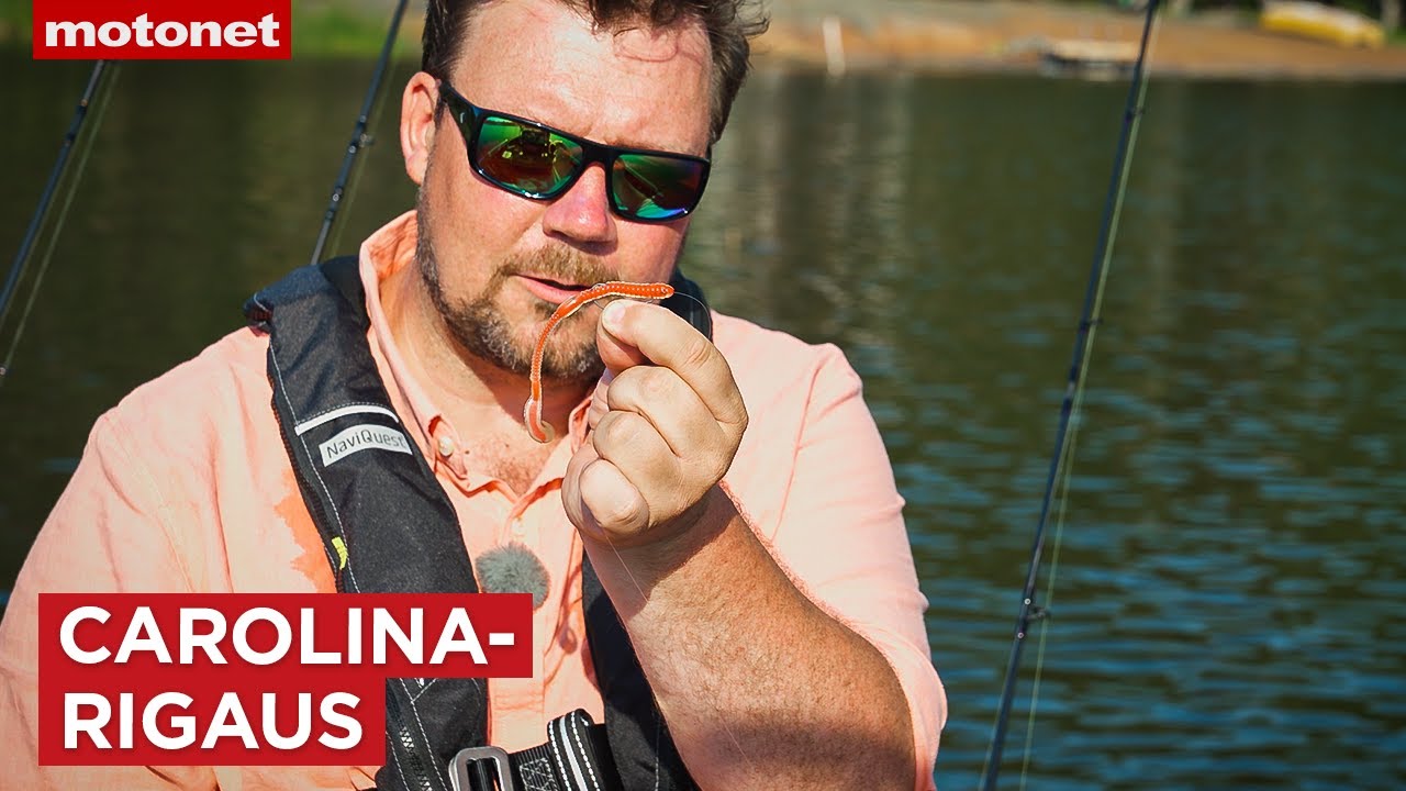Carolina-rigaus | Motonet-jigiopas