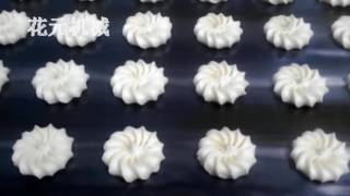 Shanghai Tudan fully automatic cookie production line