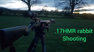 Rabbit shooting, Tikka T1X, .17HMR, Arken Zulus