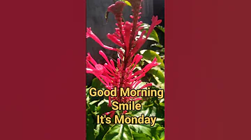 Choose To Be Happy Enjoy Every Moment Habang Nabubuhay Mag Saya Maging Mabuti Sa Kapwa 
