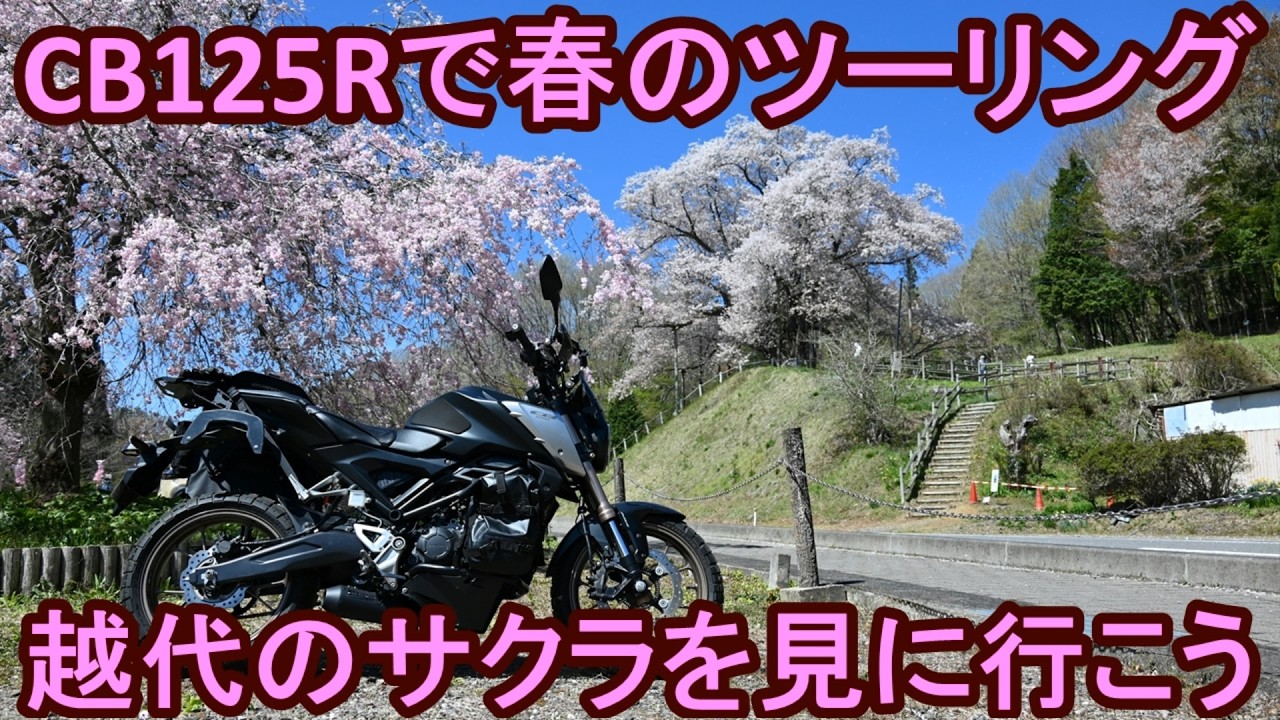 CB125Rで春のツーリング 越代のサクラを見に行こう
