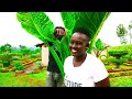 JEFFSTAR CHIZI~ SUBENET || OFFICIAL VIDEO || SKIZA: 90310532