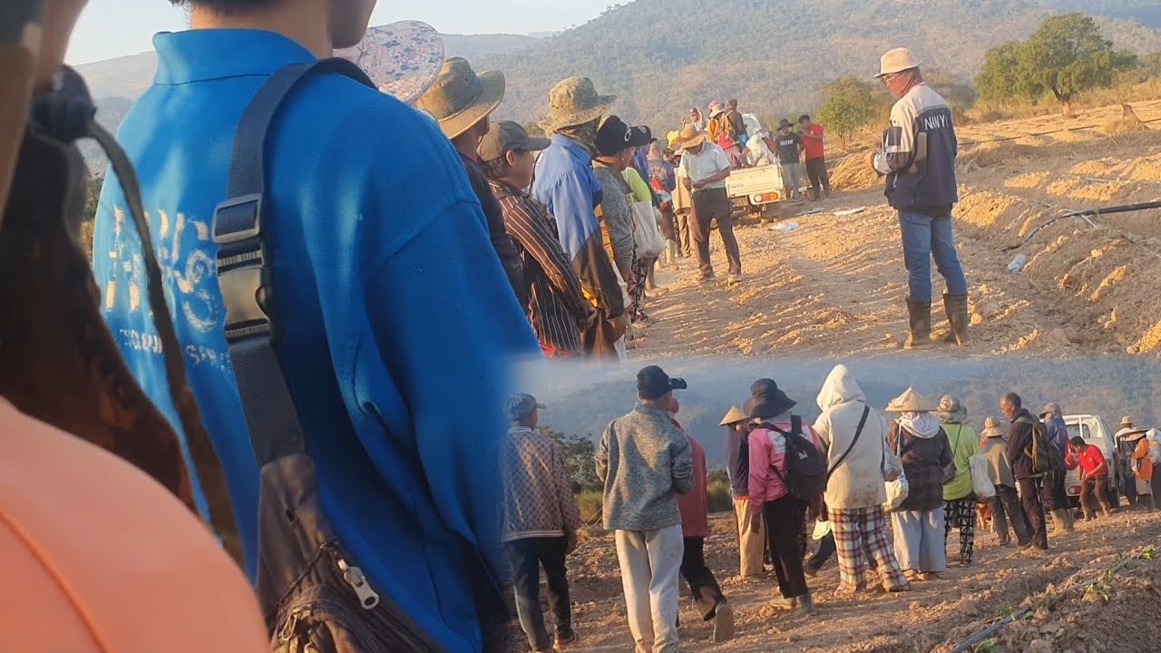 lub me neej ua zog os leej twg puas tau ua zog li peb thiab os 