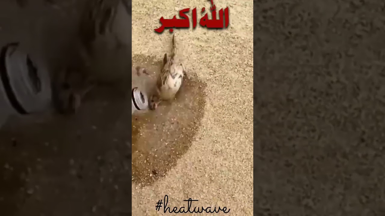 Heatwave in Pakistan.