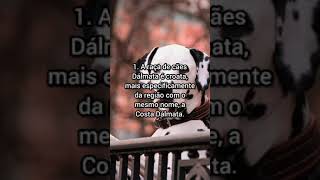 5 curiosidades que você provavelmente não sabia sobre a Croácia #Shorts