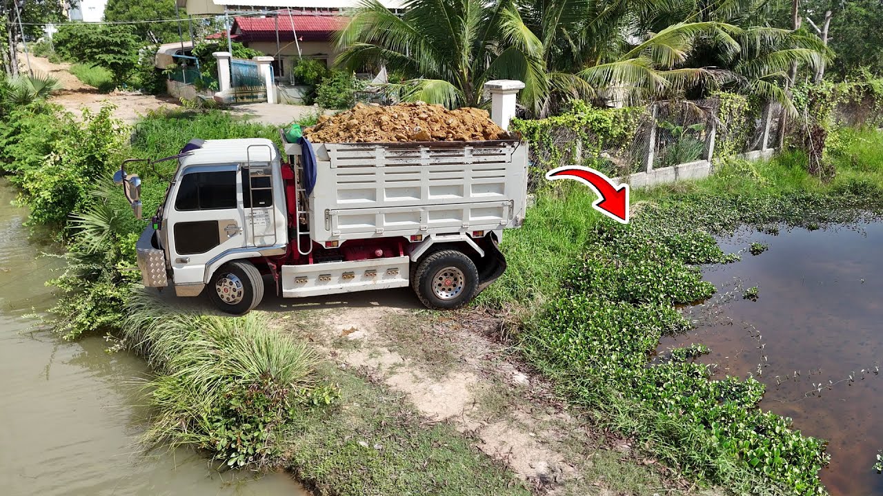 Start a new project! Pouring soil to clear the rice fields Using Dump Truck Unload & Dozer Pushing