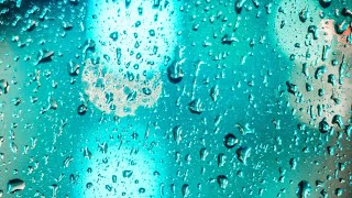 Romantic Rain status for rain Barish status video 2020 rain status video. Romantic Rain status for rain Barish status video 2020 rain status video.
