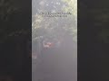 Angkut Padi dengan Truk Ekspedisi