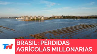 BRASIL I El poderoso sector agrícola brasileño pagará el precio de las inundaciones históricas