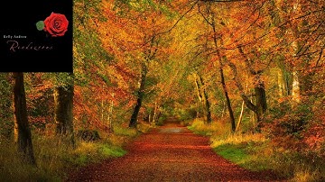 Rendezvous - Lonely Road