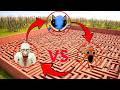 SONIC TAPES vs SCP-096 vs SPRUNKI OREN HORROR – Giant Maze Survival Battle! In Garry's Mod!
