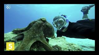 15 Insane moments at sea   The sea can be a SCARY place!