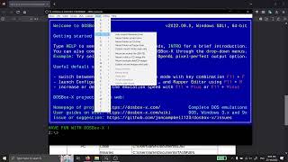 Mounting Directories Extended - 16 bit Intel Assembly with DOSBox-X & Turbo Assembler TASM