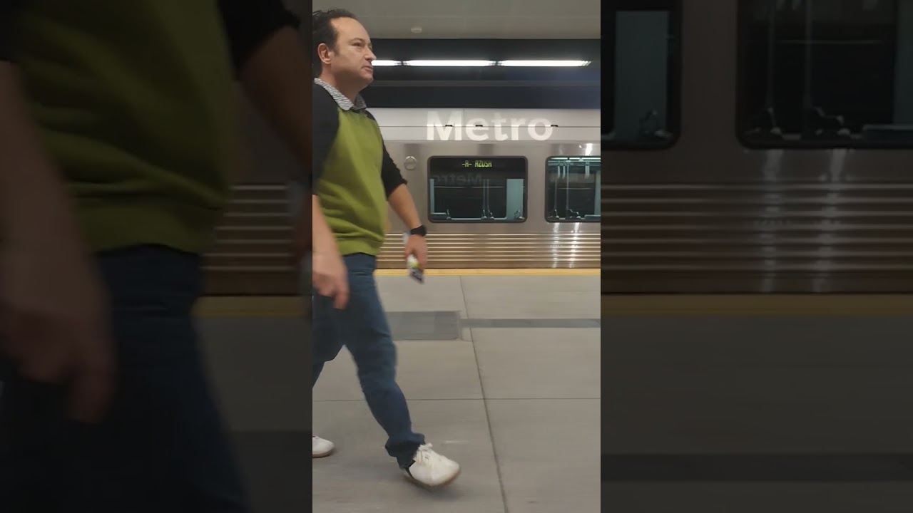 La Metro Regional Connector #1